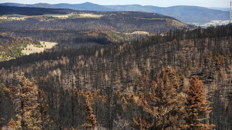 US West just experienced an aspect of the climate crisis that scientists have warned of for years
