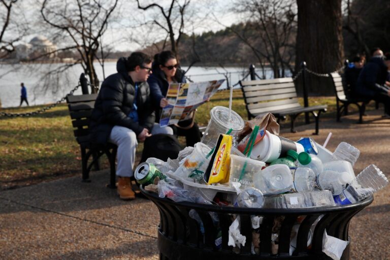 US to phase out single-use plastic on public lands, national parks by 2032