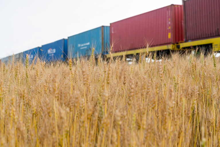 Oil and wheat prices to double for Egyptian importers: Finance Minister
