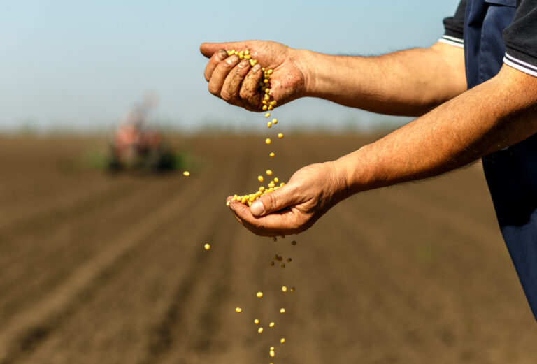 Commodities Update — Gold prices edging up; Soybeans recover; Cargill plans to close rapeseed facility