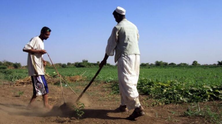 Sudan signed MoU with UAE for farm project, port, says minister