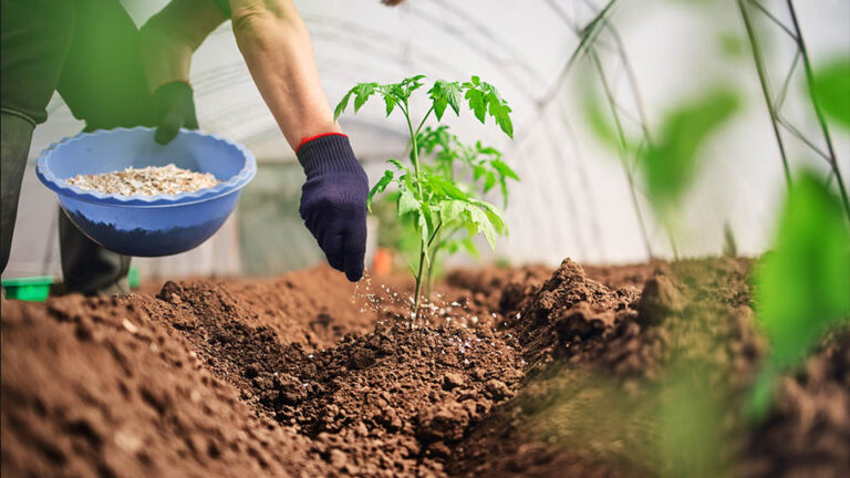 Thailand to seek fertilizer supply from Saudi producers