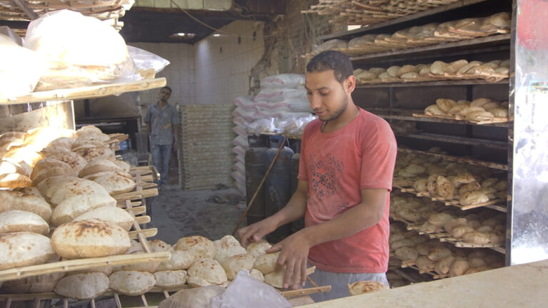World Bank approves $500m loan for emergency food security project in Egypt