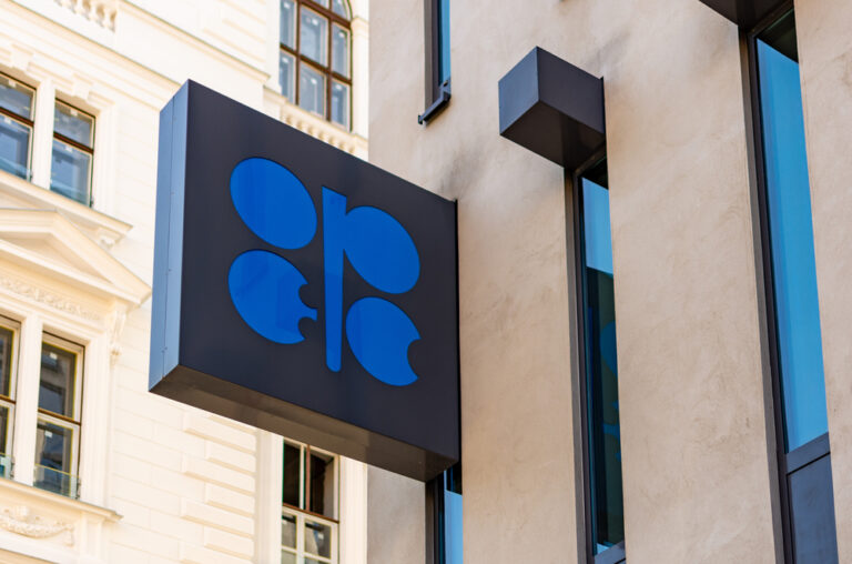 OPEC meeting ends without making any policy decisions