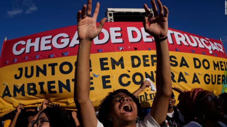 Brazil sees record Amazon deforestation in first half of 2022