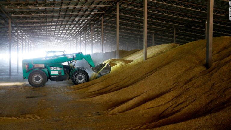 Opinion: How Putin’s stranglehold of wheat ripples across the globe