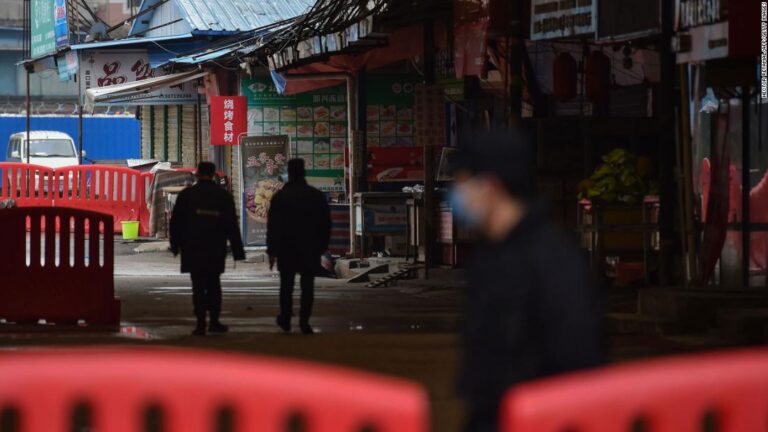 New studies agree on most likely origin of Covid-19 pandemic