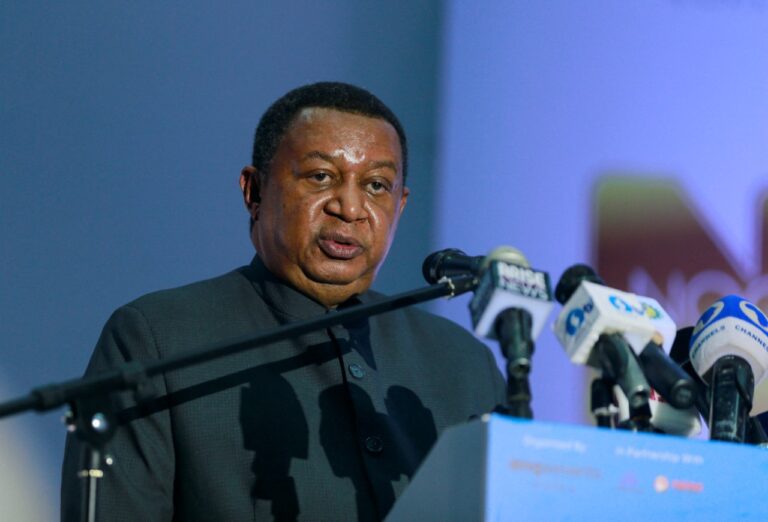 Oil sector under siege due to underinvestment, says OPEC secretary-general