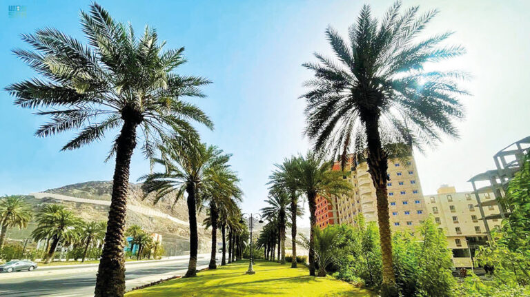 SGBF to find solutions to drive UN development goals in the region