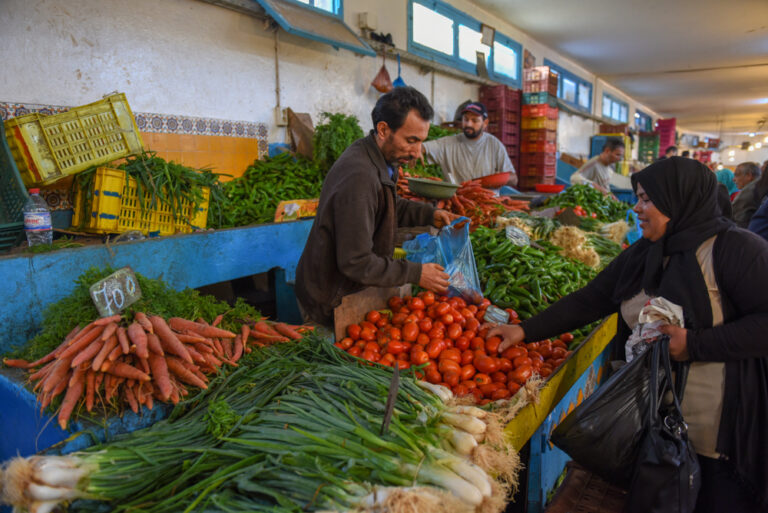 Macro Snapshot — Tunisia’s food trade deficit doubles; Japan growth weakens as global economy stutters