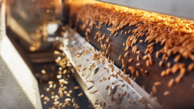 Saudi Grains Organization pays $10.6m to local farmers