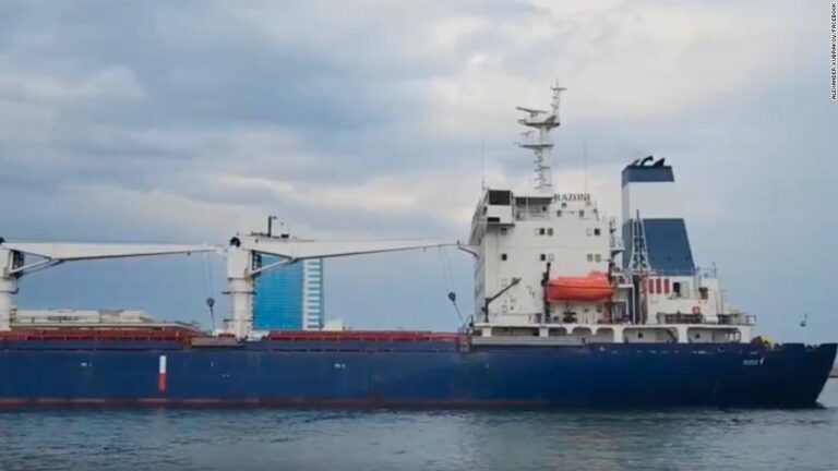 First grain ship departs Odesa under UN grain deal