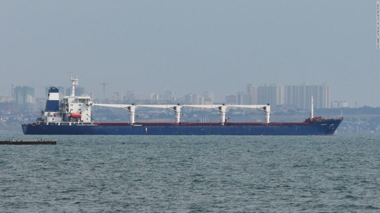 Zelensky welcomes first grain shipment but says Russia cannot be trusted