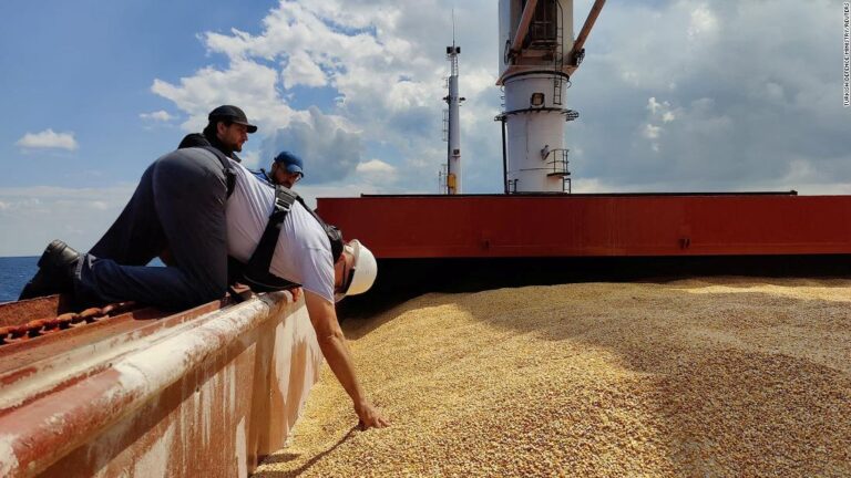 Ukraine raises grains harvest forecast amid a global food crisis sparked by Russia’s invasion
