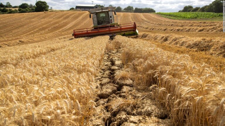 Huge relief as Ukrainian grain shipped out, but the food crisis isn’t going anywhere