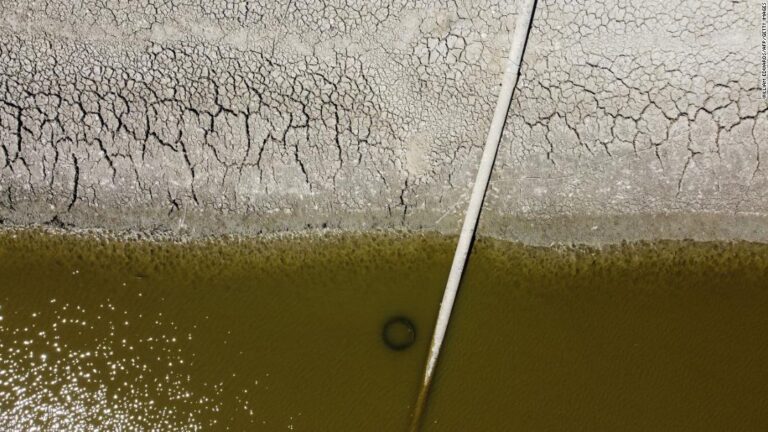 Parts of England officially fall into drought after months of scant rainfall