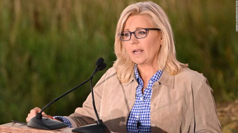 Watch what Liz Cheney told supporters after conceding