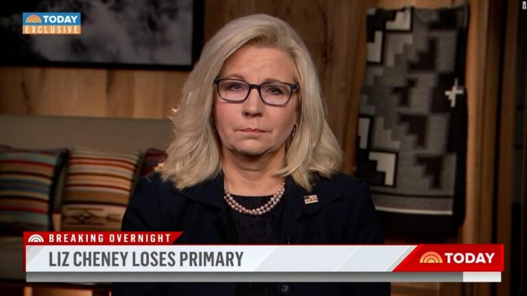 Cheney comments on 2024 plans following primary defeat