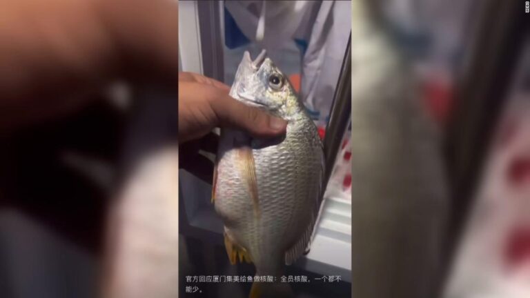 See why Chinese authorities are swabbing seafood