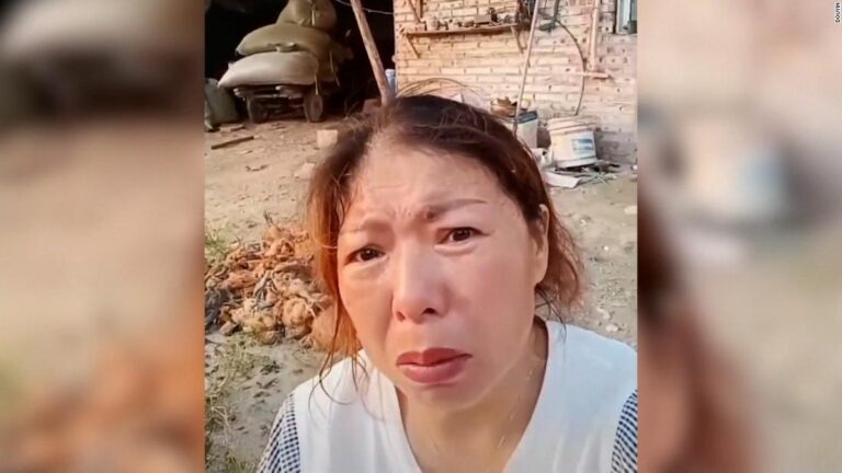 Distressed farmer shares video of livestock dying in extreme heat