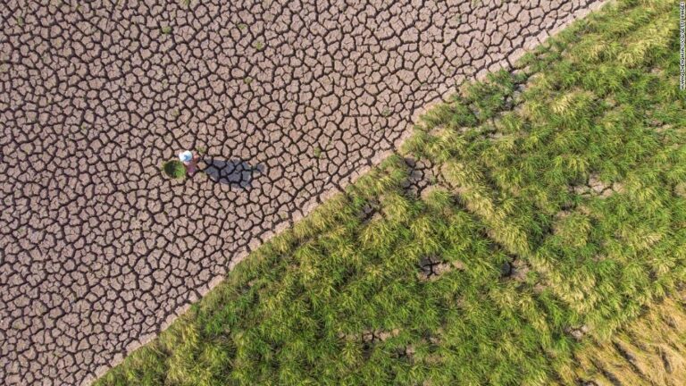 China’s worst heat wave on record is crippling power supplies. How it reacts will impact us all
