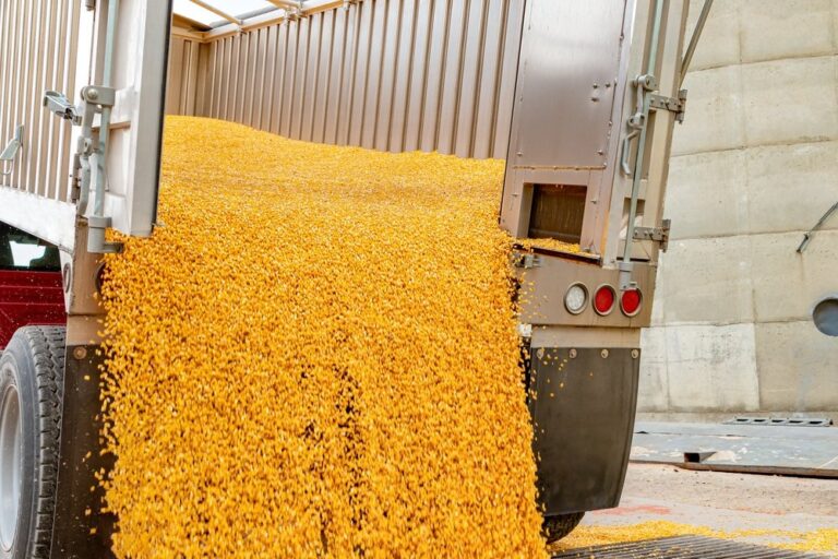 Saudi Agricultural Development Fund calls on food importers to apply for support