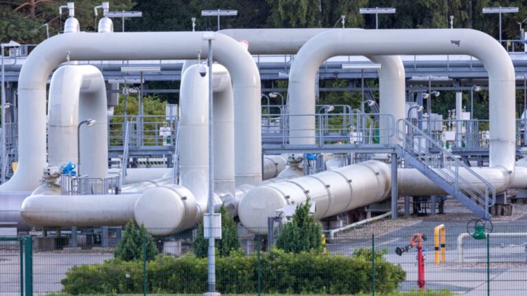 Germany says gas stocks rising quicker than expected