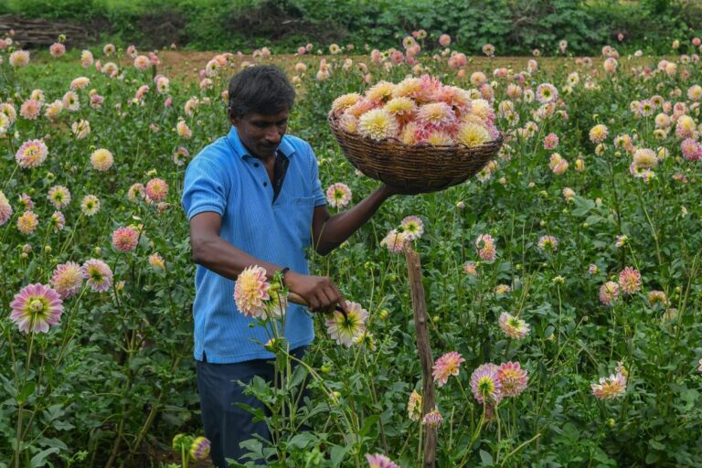India’s status as world’s fastest growing major economy to be short-lived, say economists