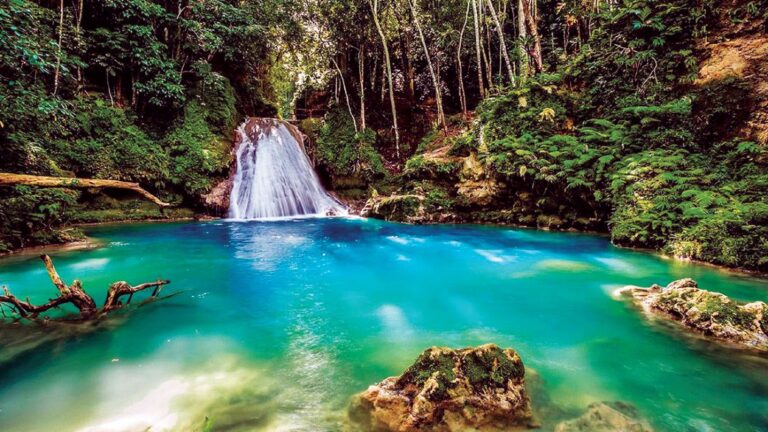 Jamaica expects Saudi tourist inflow to rise following new deal: Minister