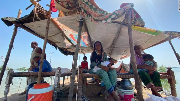 Fears for babies born into Pakistan’s devastating floods