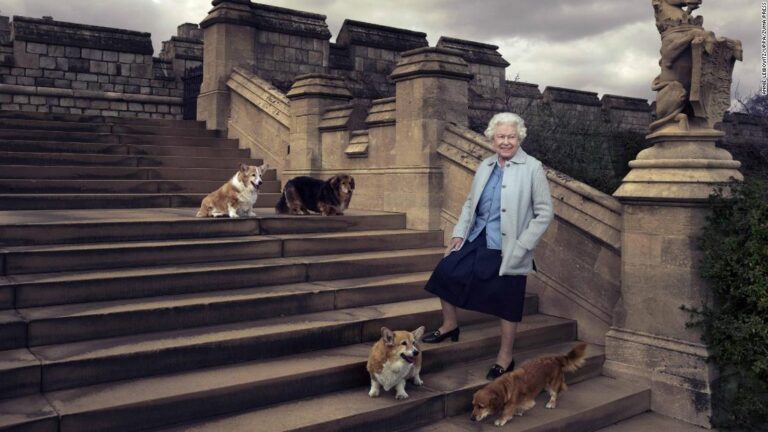 Queen’s corgis to live with the Duke and Duchess of York