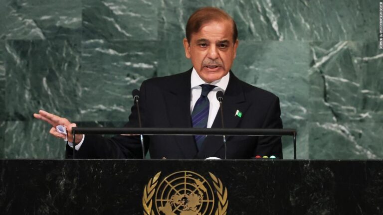 ‘What happened in Pakistan will not stay in Pakistan,’ flood-ravaged country warns UN