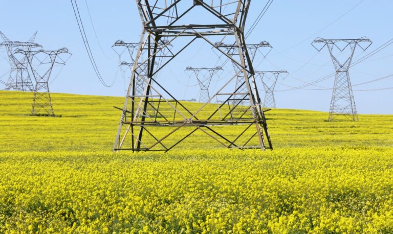 Africa’s first hydrogen plant seen producing electricity in 2024