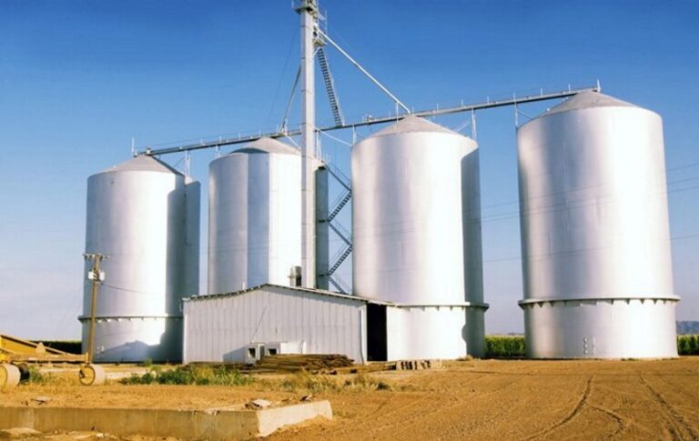 Saudi Arabia’s wheat storage capacity amounts to 3.5m tons: SAGO official
