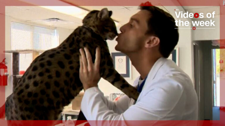 Must-watch videos of the week