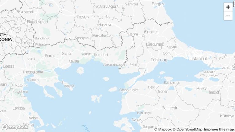 UN ‘deeply distressed’ by reports of nearly 100 stripped migrants at Greece-Turkey border