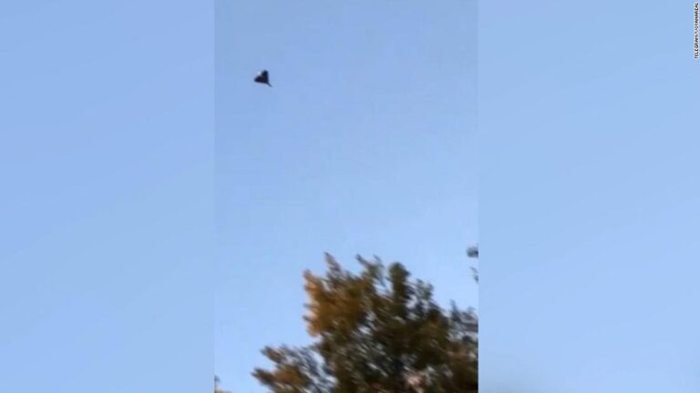 Video appears to show Iranian ‘kamikaze’ drone used to attack Ukraine’s capital