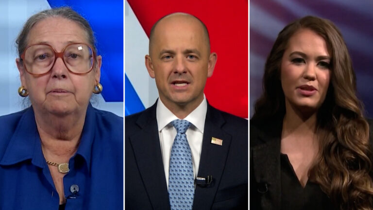 Reality Check: Could this year be the year of the third party?