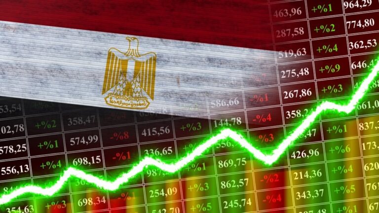 Debt reduction, not currency stabilization, is Egypt’s goal: Central Bank advisor