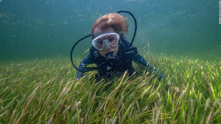 87-year-old ‘Queen of the Deep’ has spent more than 7,000 hours underwater