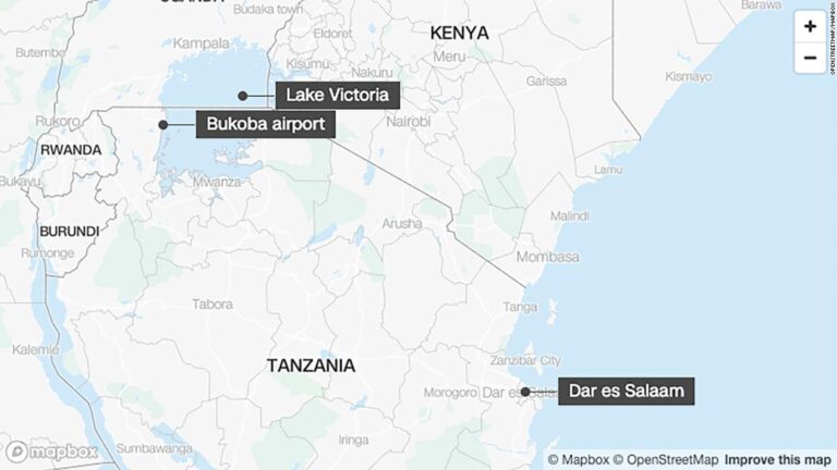 Commercial aircraft crashes into Lake Victoria in Tanzania