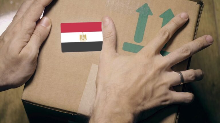 Egypt’s non-oil economy remains under strain as PMI stands at 47.6 in October: S&P Global