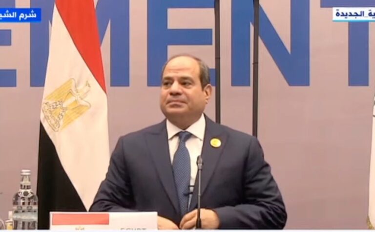 Egyptian president calls for leaders to coordinate climate change policies with NGOs at EMME-CCI
