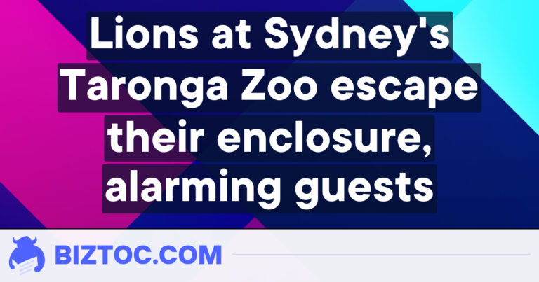 Lions at Sydney’s Taronga Zoo escape their enclosure, alarming guests